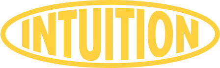 INTUITION Skate Premium Innenschuh Liner silbern LE